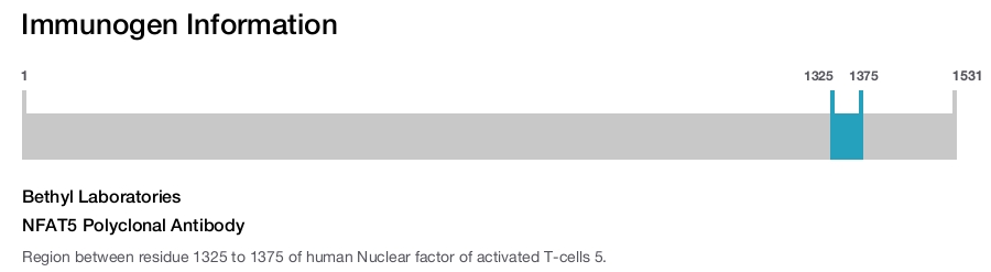 NFAT5 Polyclonal Antibody