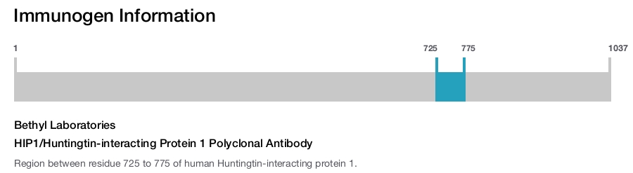 HIP1/Huntingtin-interacting Protein 1 Polyclonal Antibody