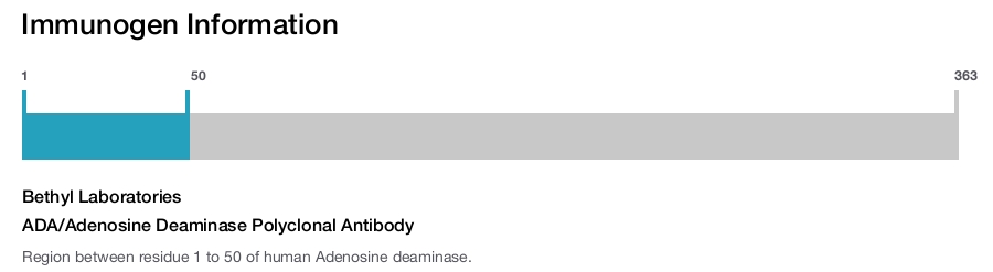 ADA/Adenosine Deaminase Polyclonal Antibody