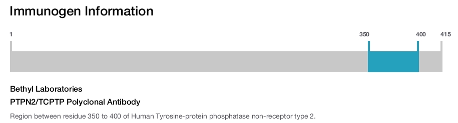 PTPN2/TCPTP Polyclonal Antibody