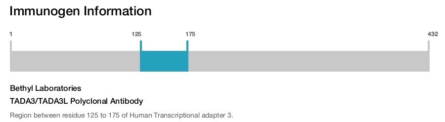TADA3/TADA3L Polyclonal Antibody