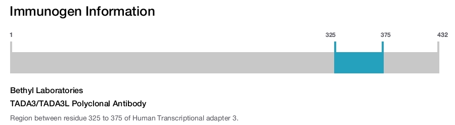 TADA3/TADA3L Polyclonal Antibody