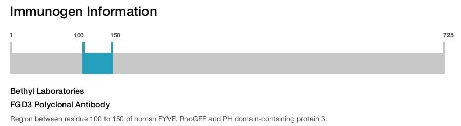 FGD3 Polyclonal Antibody