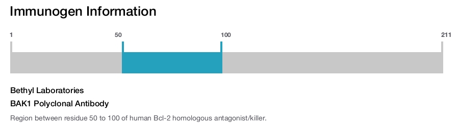 BAK1 Polyclonal Antibody