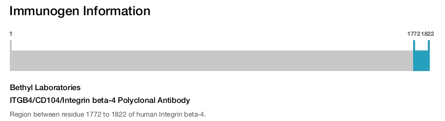 ITGB4/CD104/Integrin beta-4 Polyclonal Antibody