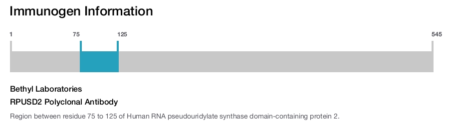 RPUSD2 Polyclonal Antibody