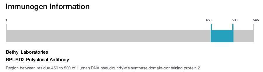 RPUSD2 Polyclonal Antibody