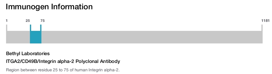 ITGA2/CD49B/Integrin alpha-2 Polyclonal Antibody