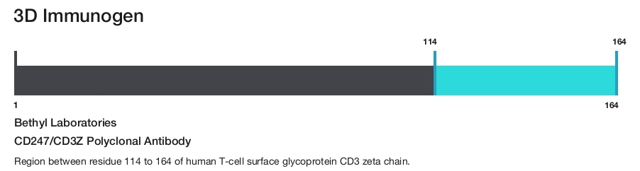 CD247/CD3Z Polyclonal Antibody