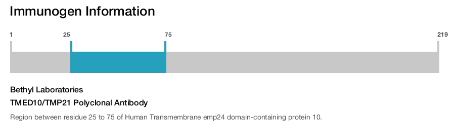 TMED10/TMP21 Polyclonal Antibody