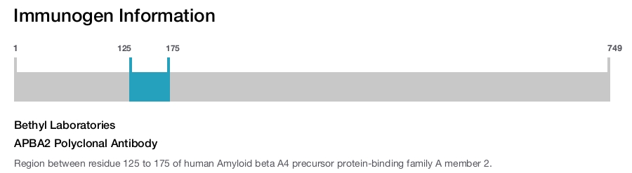 APBA2 Polyclonal Antibody