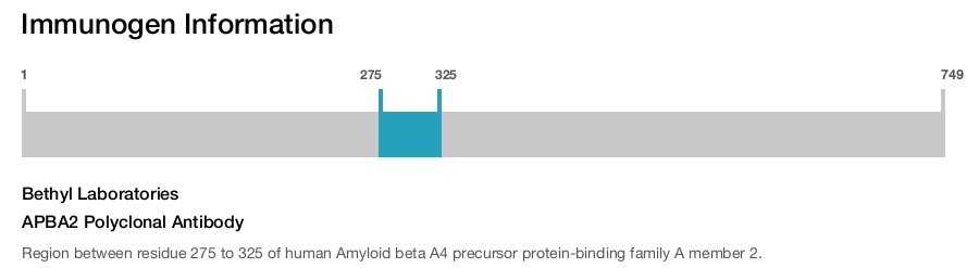 APBA2 Polyclonal Antibody