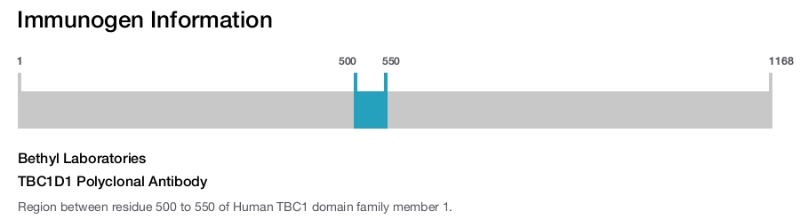 TBC1D1 Polyclonal Antibody