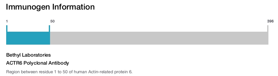 ACTR6 Polyclonal Antibody