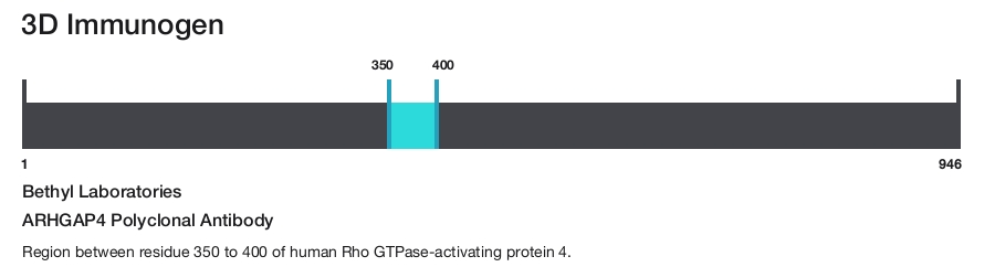 ARHGAP4 Polyclonal Antibody