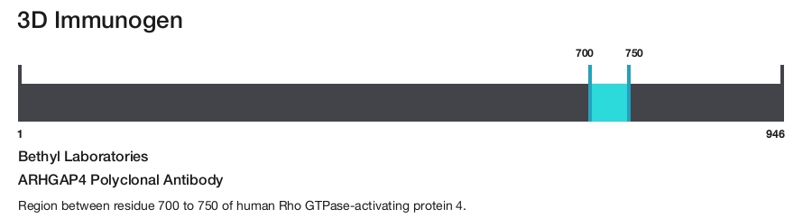 ARHGAP4 Polyclonal Antibody