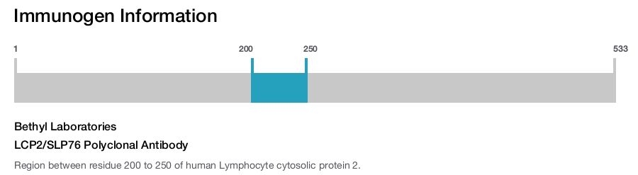 LCP2/SLP76 Polyclonal Antibody