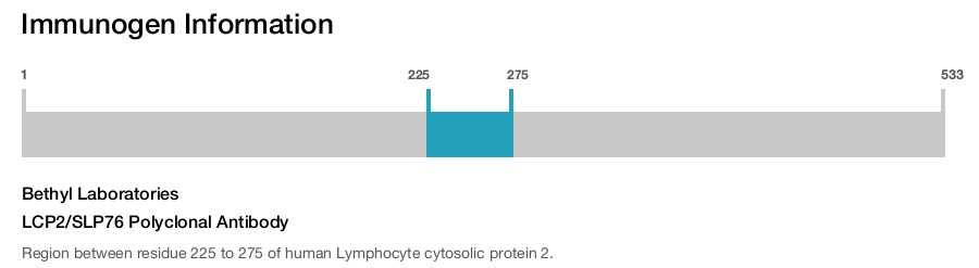 LCP2/SLP76 Polyclonal Antibody