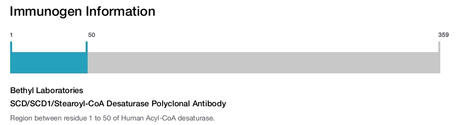SCD/SCD1/Stearoyl-CoA Desaturase Polyclonal Antibody