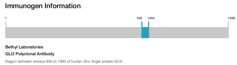 GLI2 Polyclonal Antibody