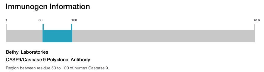 CASP9/Caspase 9 Polyclonal Antibody