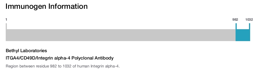 ITGA4/CD49D/Integrin alpha-4 Polyclonal Antibody