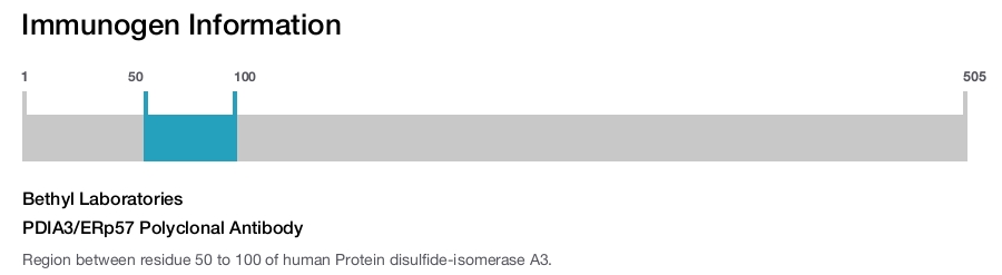 PDIA3/ERp57 Polyclonal Antibody