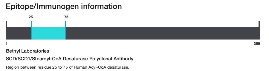 SCD/SCD1/Stearoyl-CoA Desaturase Polyclonal Antibody