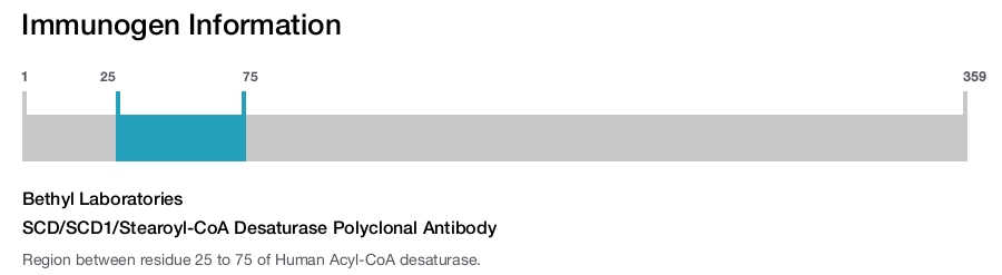 SCD/SCD1/Stearoyl-CoA Desaturase Polyclonal Antibody