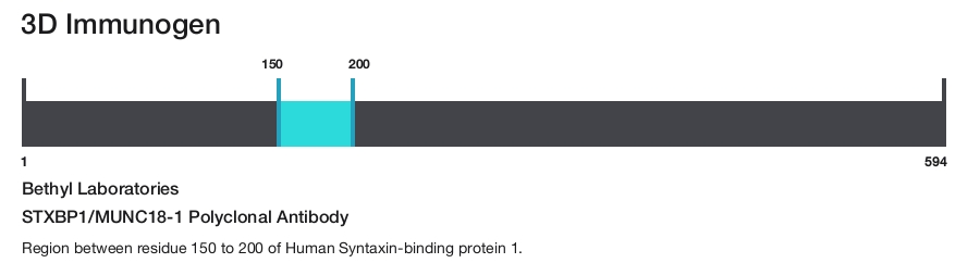 STXBP1/MUNC18-1 Polyclonal Antibody