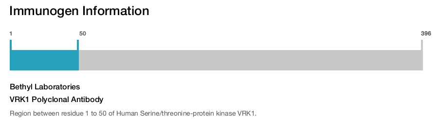 VRK1 Polyclonal Antibody