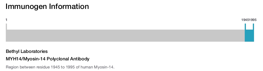 MYH14/Myosin-14 Polyclonal Antibody