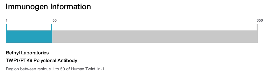 TWF1/PTK9 Polyclonal Antibody