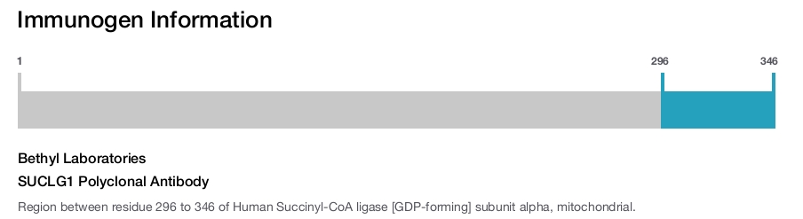 SUCLG1 Polyclonal Antibody