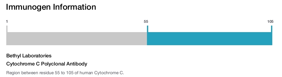 Cytochrome C Polyclonal Antibody