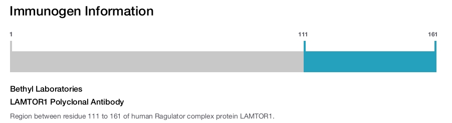 LAMTOR1 Polyclonal Antibody