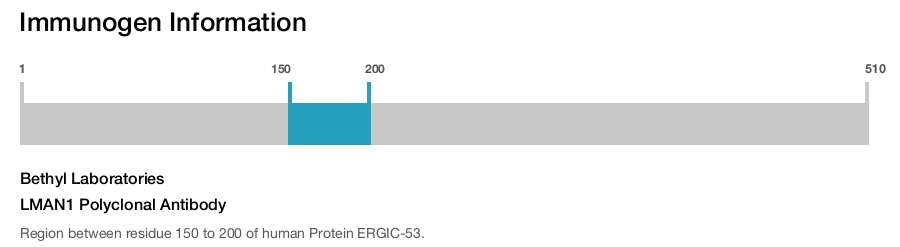 LMAN1 Polyclonal Antibody