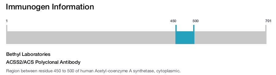 ACSS2/ACS Polyclonal Antibody