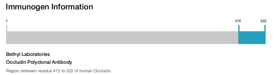 Occludin Polyclonal Antibody