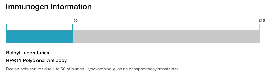 HPRT1 Polyclonal Antibody