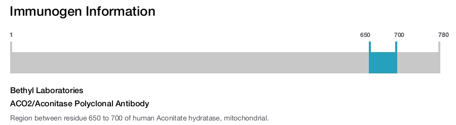 ACO2/Aconitase Polyclonal Antibody