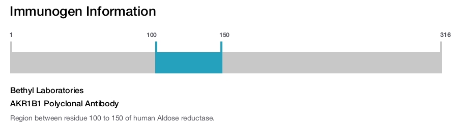 AKR1B1 Polyclonal Antibody