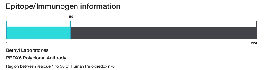 PRDX6 Polyclonal Antibody