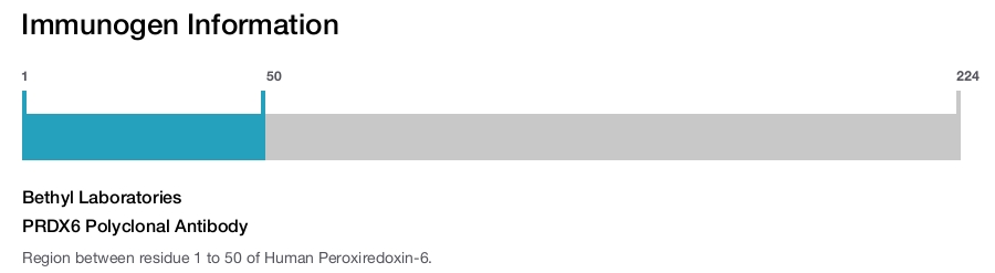 PRDX6 Polyclonal Antibody