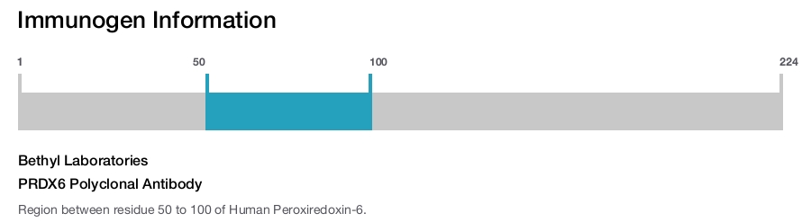 PRDX6 Polyclonal Antibody