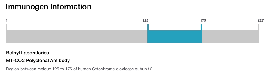 MT-CO2 Polyclonal Antibody