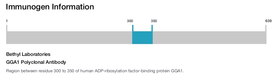 GGA1 Polyclonal Antibody
