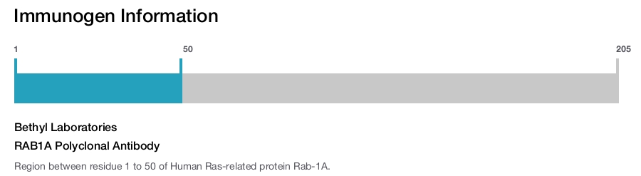 RAB1A Polyclonal Antibody