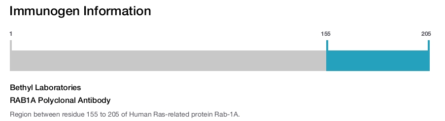 RAB1A Polyclonal Antibody