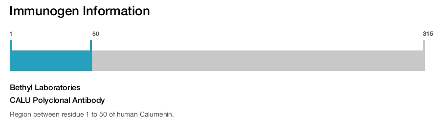 CALU Polyclonal Antibody